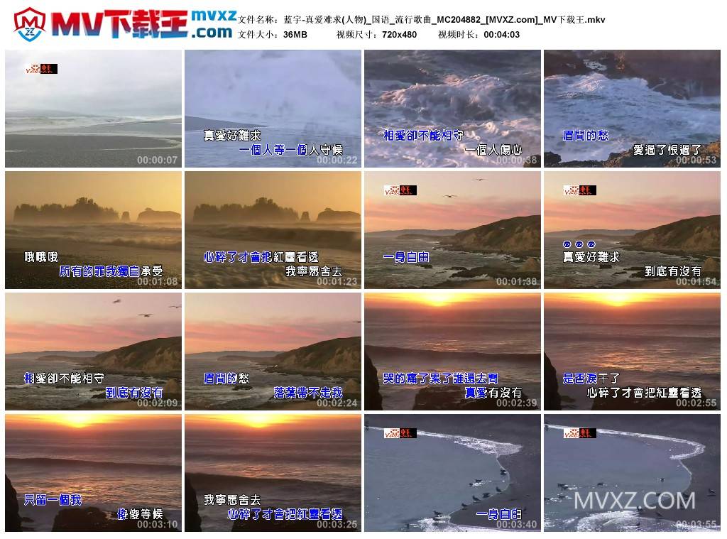 蓝宇-真爱难求(人物)_国语_流行歌曲_MC204882
